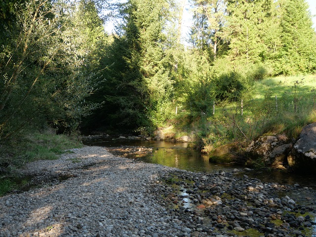 Der Waldbach bei Görisried