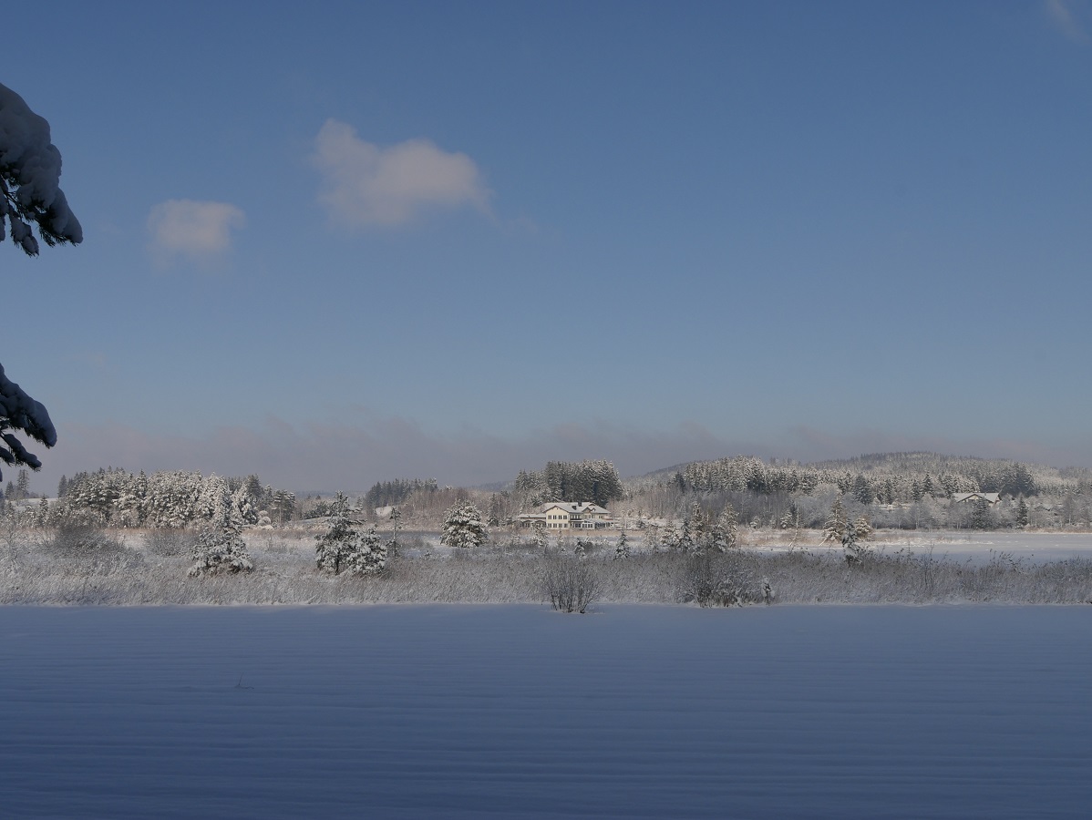 Blick über den Elbsee im Winter
