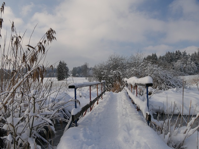 Elbseemoorbrücke im Winter