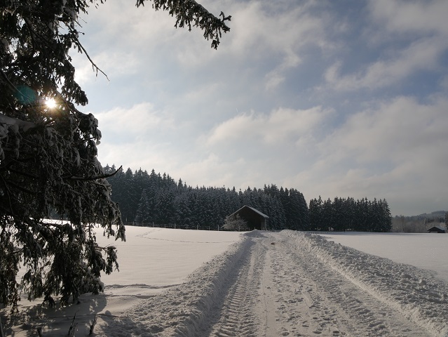 auf dem Elbseerundweg im Winter