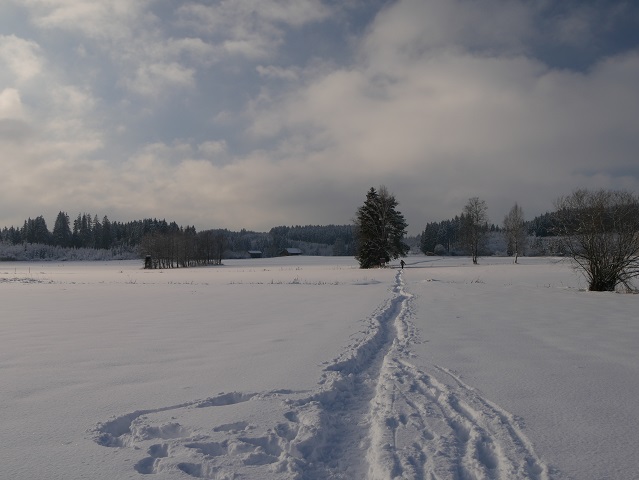 Spaziergänger im Winter am Elbsee