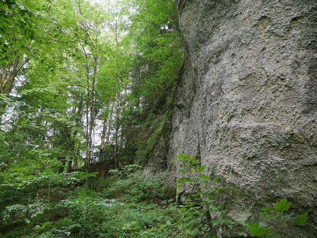 Steilwand im Geotop Enschenstein