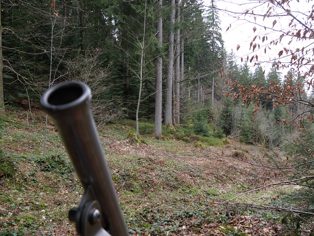 Fernglas und Dachs im Kinderwald bei Weitnau