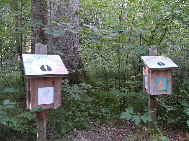 Fühlkästen am Naturerlebnisweg für Kinder bei Görisried