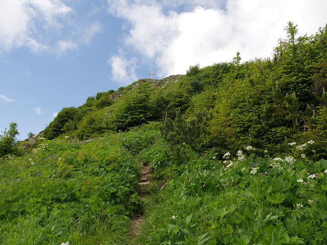 Bergtour aufs Steinmandl - Aufstieg zum Gipfel