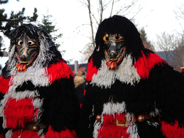 Goisterhund Aichstetten
