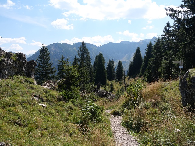 Gratweg vom Imberger Horn zum Strausberg