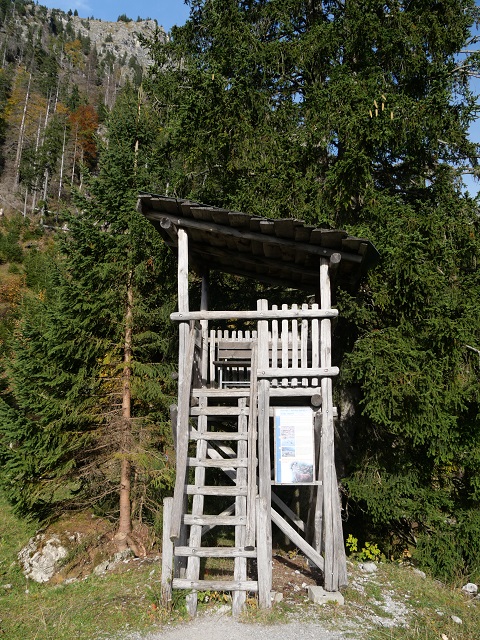 Hochsitz am Erlebnisweg Uff d'r Alp