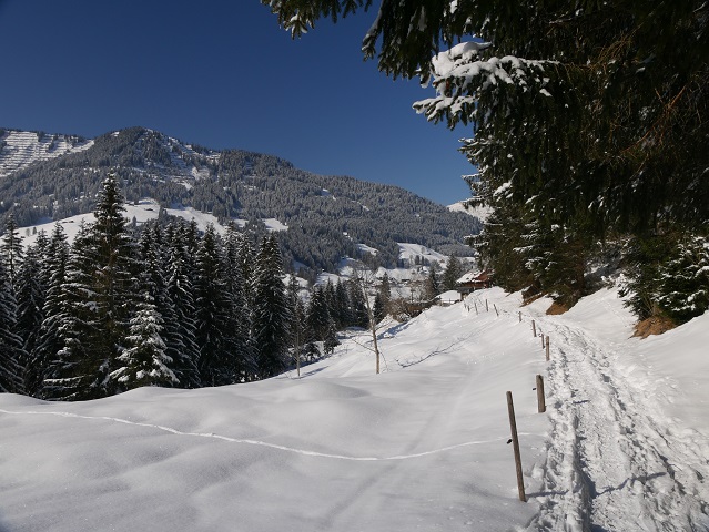auf dem Höfle-Weg im Wildental im Winter