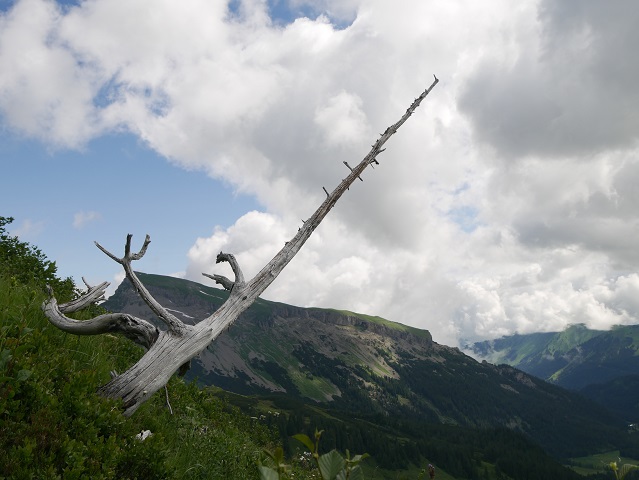 Blick auf dem Hohen Ifen bei der Bergtour aufs Steinmandl