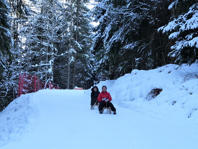 In Bad Hindelang rodeln - ein Riesenspaß