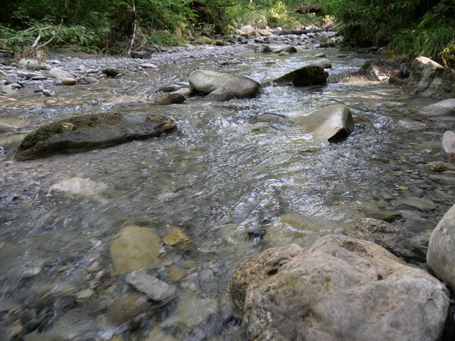 In der Hausbachklamm