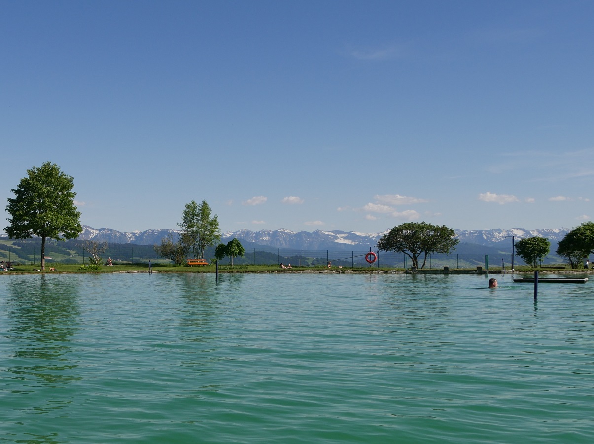 Infinity-Pool-Feeling im Alpenfreibad Scheidegg