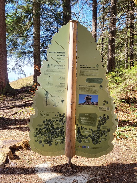 Info-Baum auf dem Carl-Hirnbein-Weg