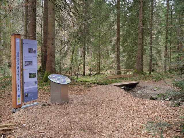 Infotafel im Wald am Carl-Hirnbein-Weg 