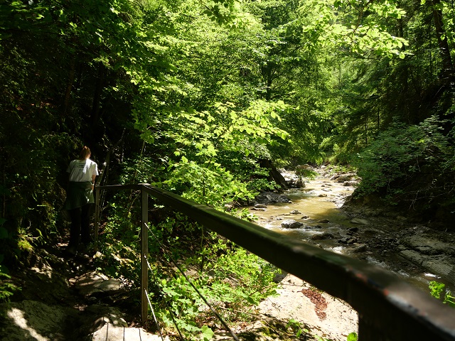 Klammweg an der Starzlach