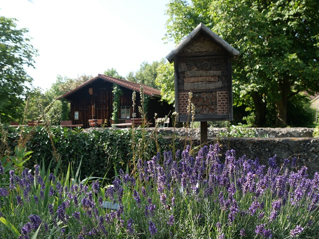 Lavendel und Insektenhotel