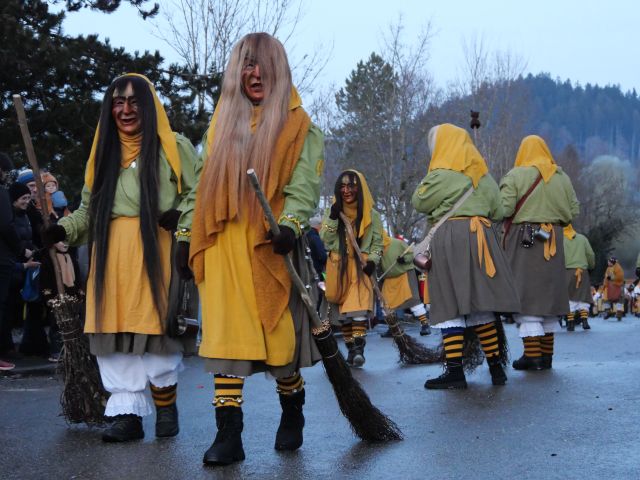 Linden Hexa aus Pfuhl auf dem Fasnachtsumzug