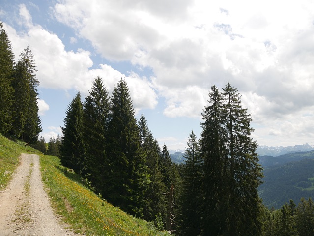 Mit Panorama oberhalb von Balderschwang wandern
