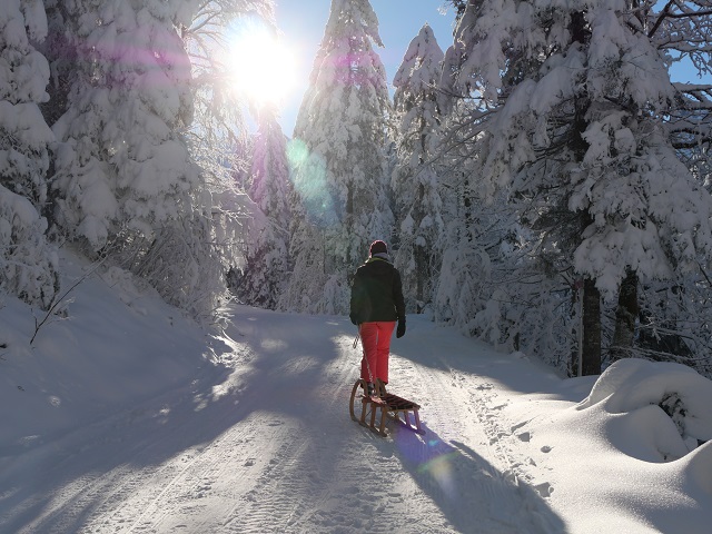 Mit dem Schlitten unterwegs zur Vilser Alm