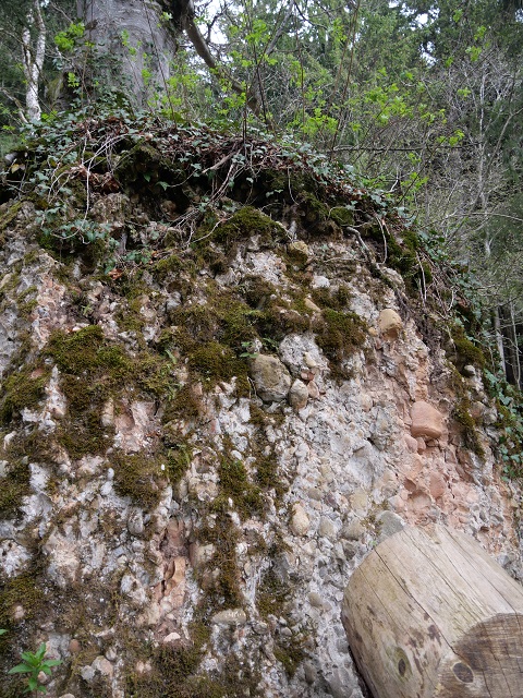 Nagelfluhbrocken