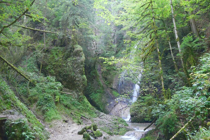 Blick auf den Niedersonthofener Wasserfall