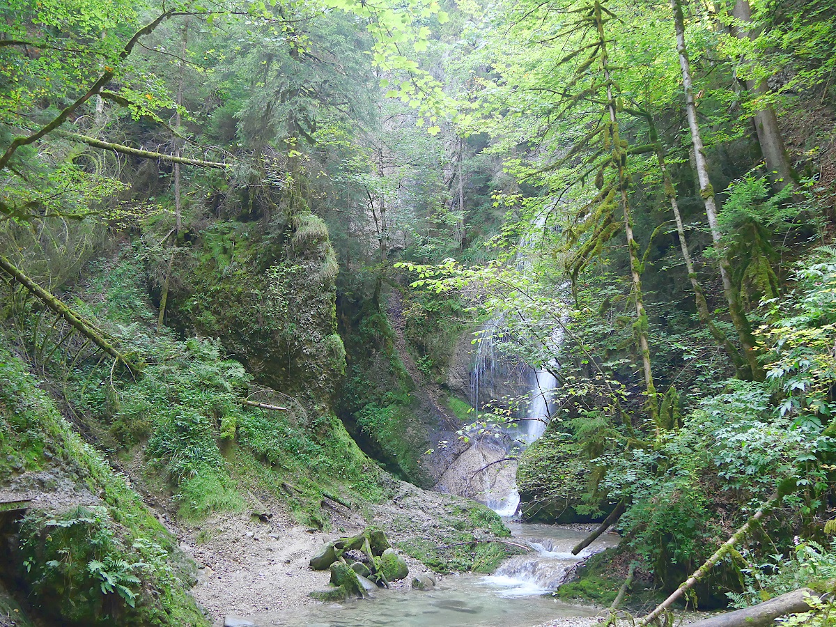 Blick auf den Niedersonthofener Wasserfall