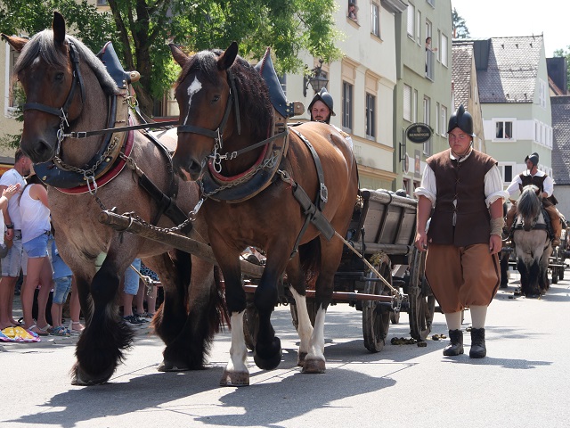 Pferdewagen mit Kanonenkugeln bei Wallenstein 1630 in Memmingen