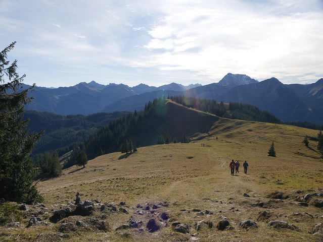 Blick auf den Pirschling-Gipfel