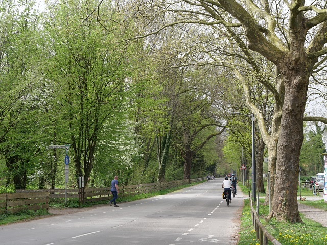 Radweg in Lindau am Bodensee