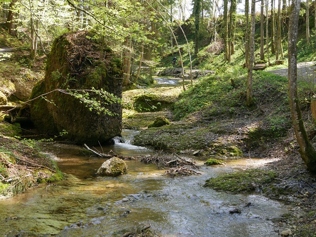 Romantischer Rickenbach im Westallgäu