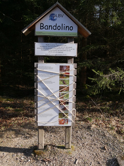 Riesen-Bandolino am Vogellehrpfad Friesenried