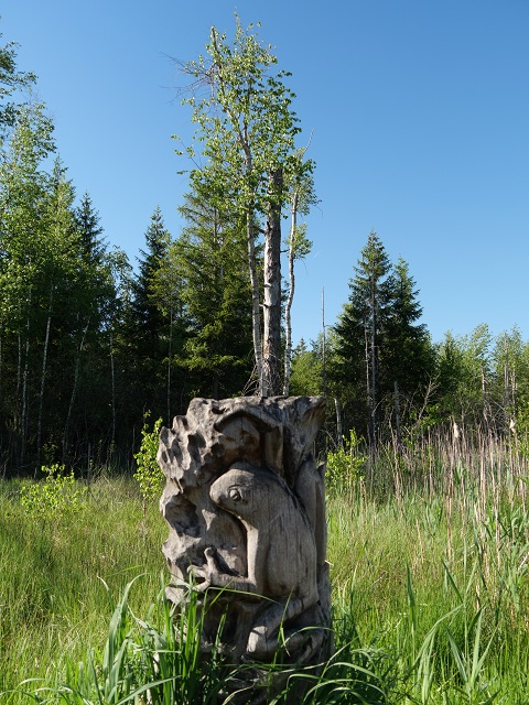 Riesenholzfrosch