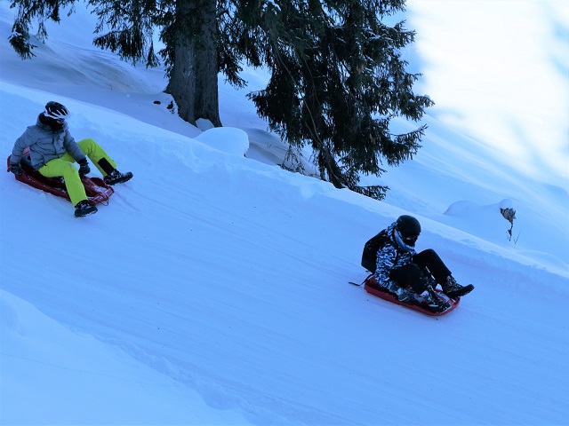 Rodler auf der blauen Piste am Imberger Horn