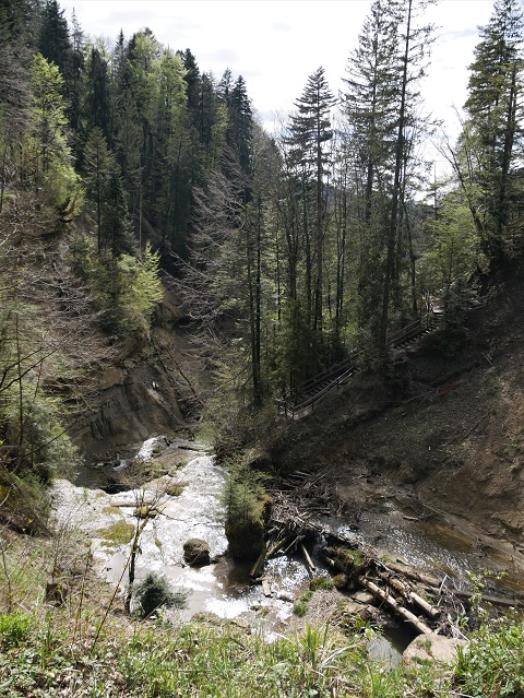 Blick in die Rohrachschlucht