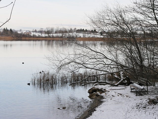 idyllische Aussichtsbank am Niedersonthofener-See-Rundweg