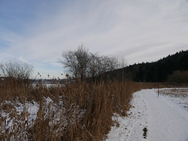Niso-Rundweg im Winter