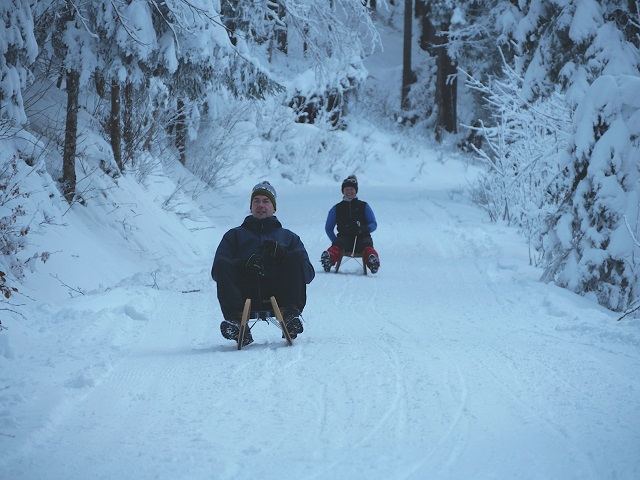 Schlittenabfahrt von der Vilser Alm