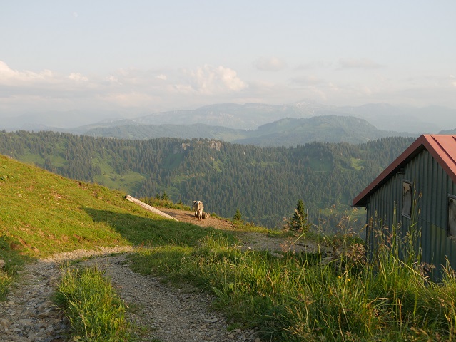 Schumpen mit Aussicht