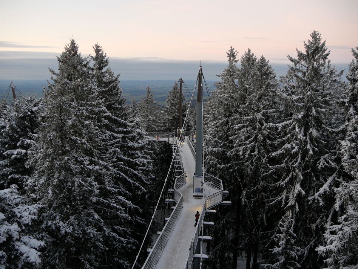 Skywalk in der Waldwelt Allgäu im Winter