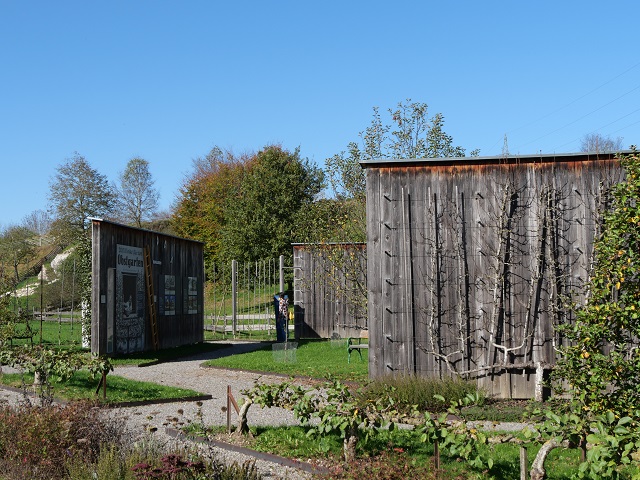 Spaliergarten im Bauernhofmuseum Illerbeuren