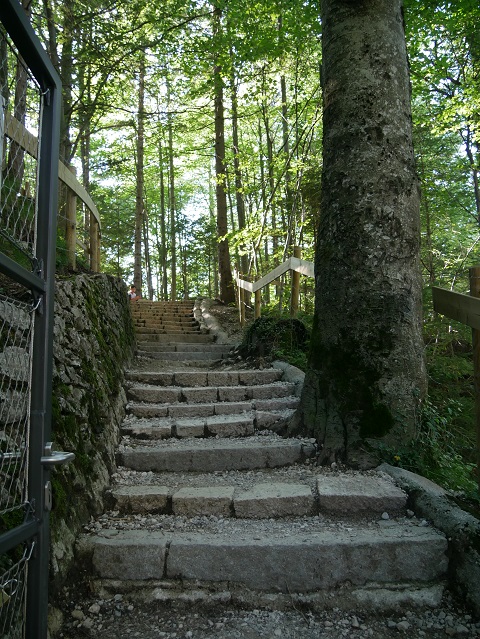 Steintreppen auf dem Weg aus der Pöllatschlucht zur Marienbrücke