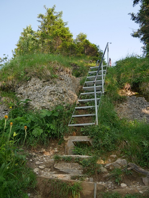 Treppe zum Hochgrat