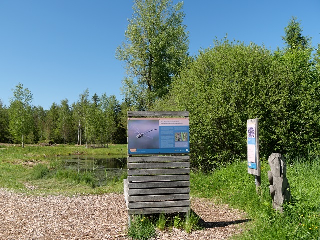 Tümpel mit Infotafel im Werdensteiner Moos