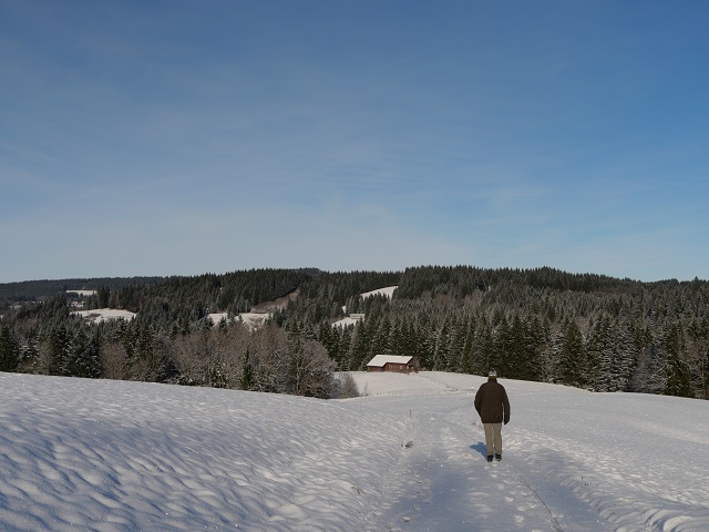 Winterwandern im Allgäu - unterwegs zur Königsalpe 