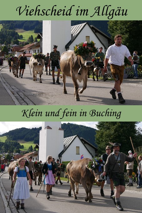 Viehscheid Buching im Ostallgäu
