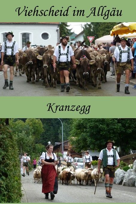 Viehscheid Kranzegg im Allgäu