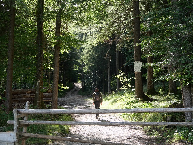 Waldwanderweg