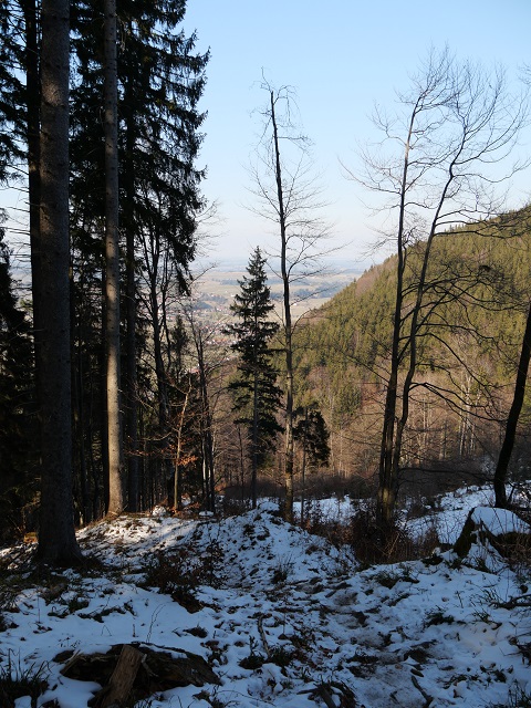Abstieg vom Buchenberg