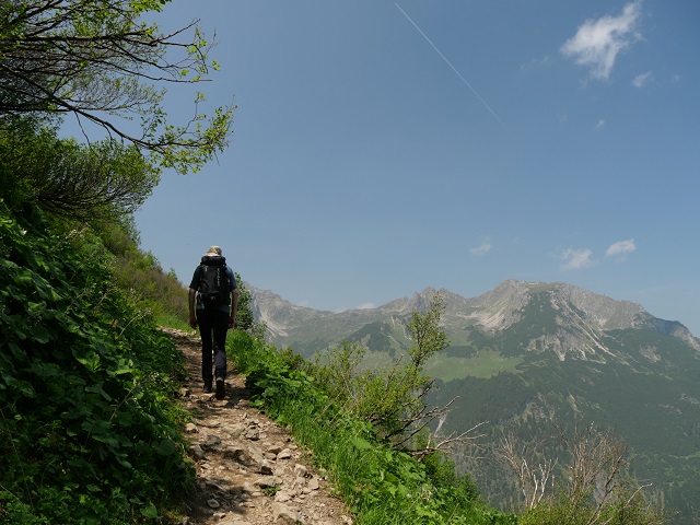 Wanderpfad zur Enzianhütte
